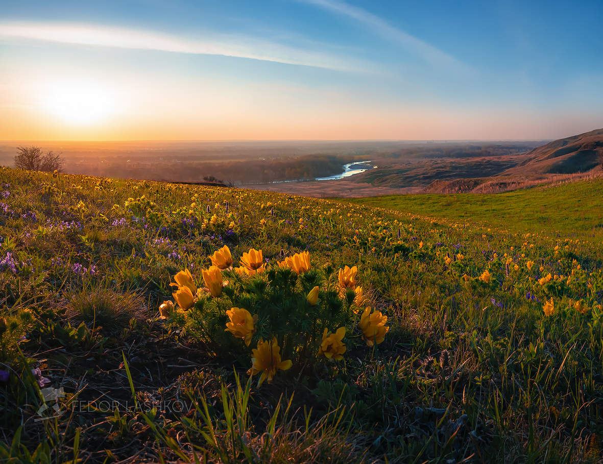 Апрельская степь