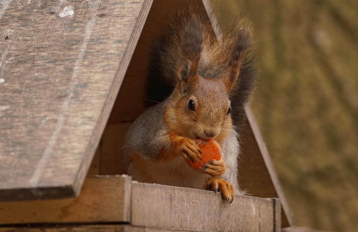 Бизнес-ланч в ресторане
