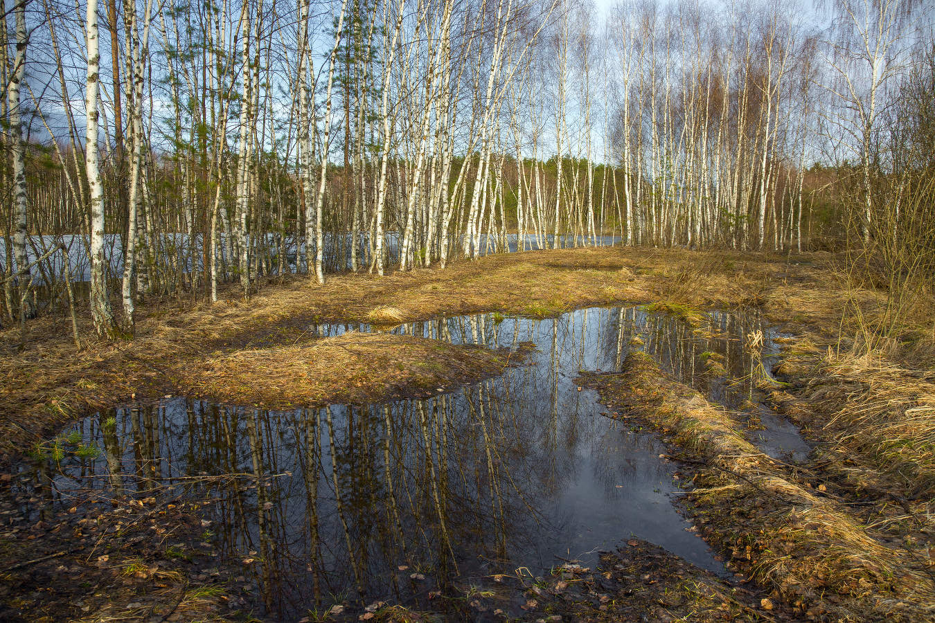 Весеннее настроение
