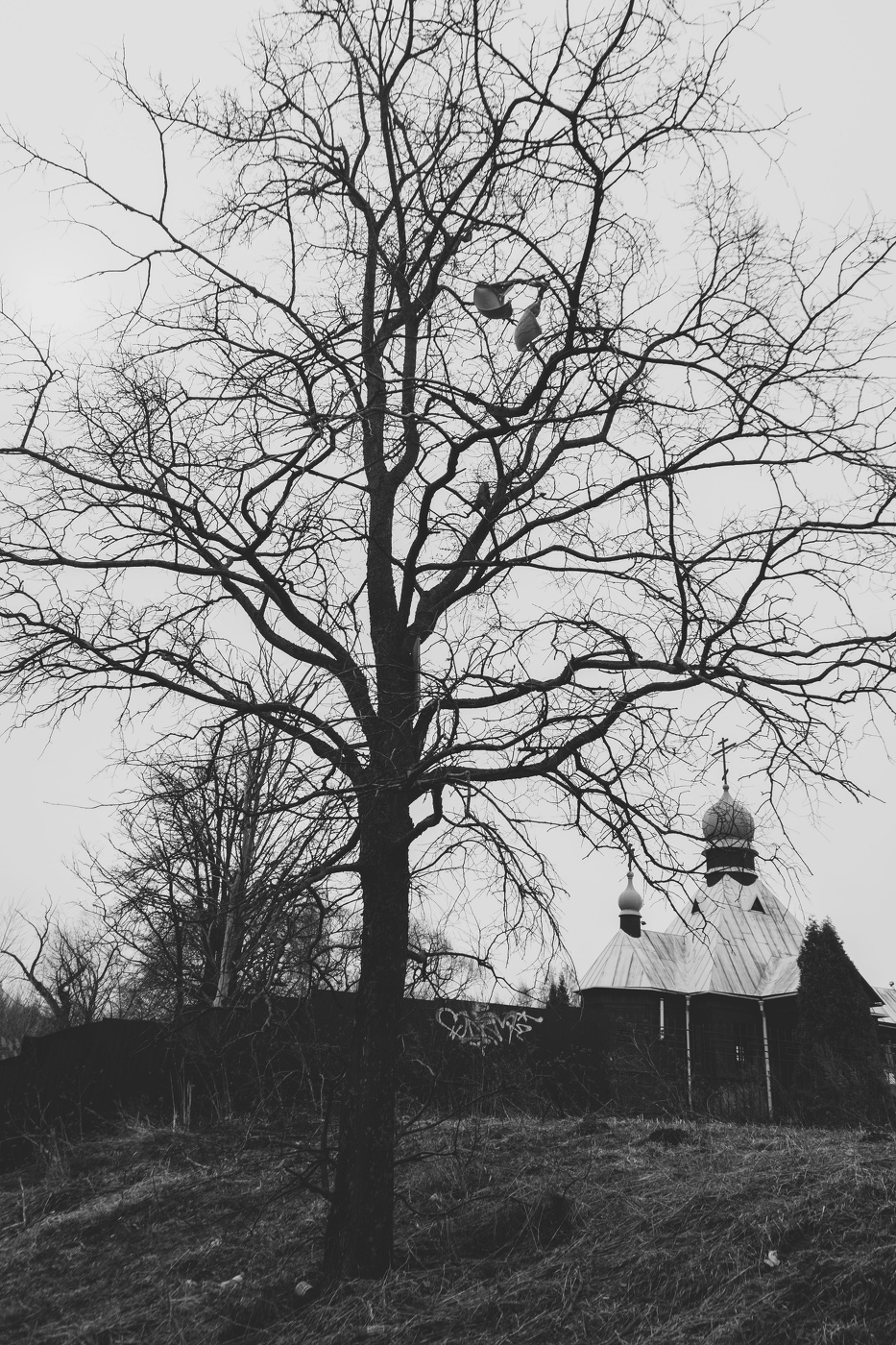 Жизнь вокруг