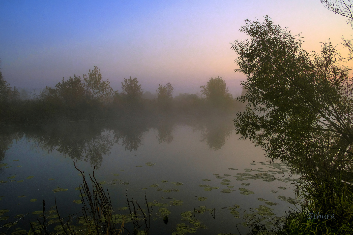 Утром на озере.