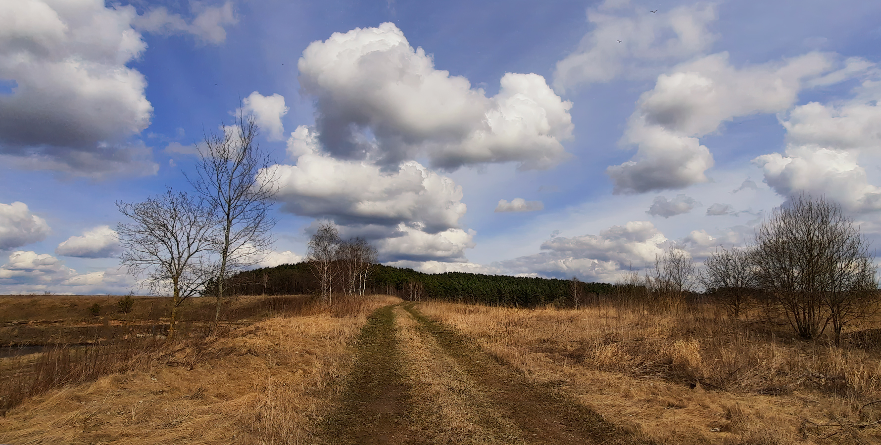 Апрельская зарисовка