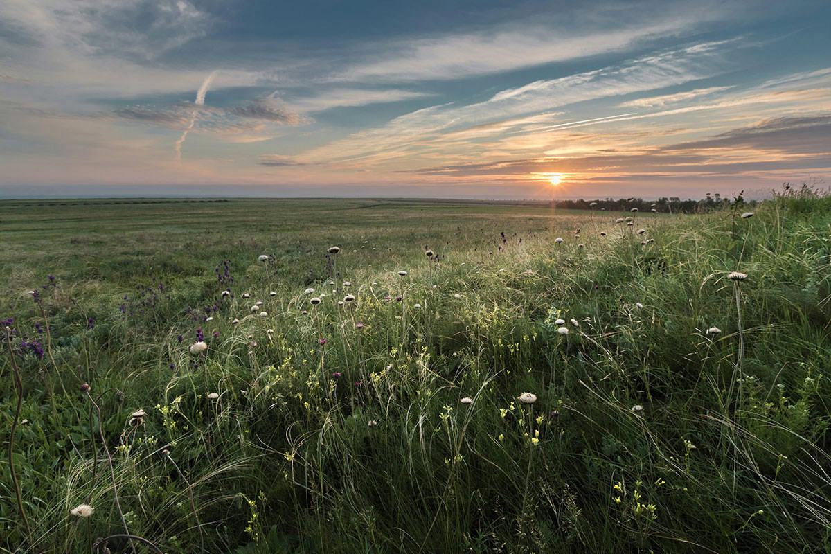 Степные картинки
