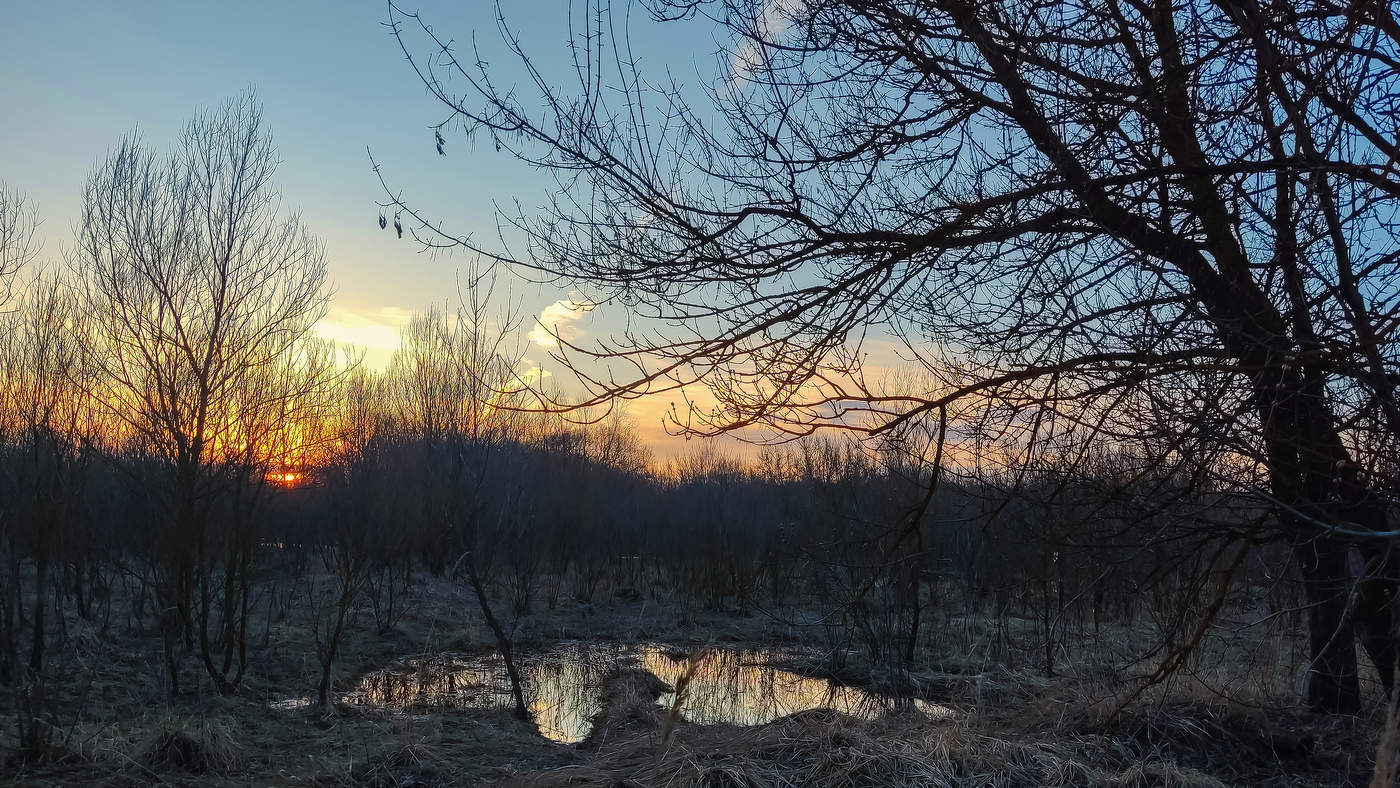 Апрель. Вечернее.