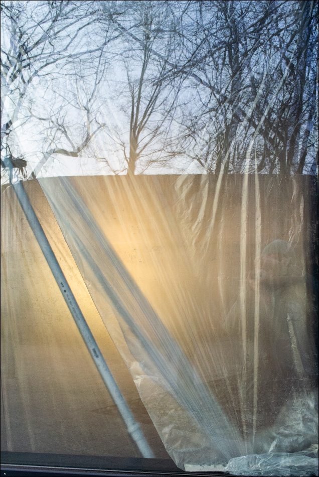 букет котов