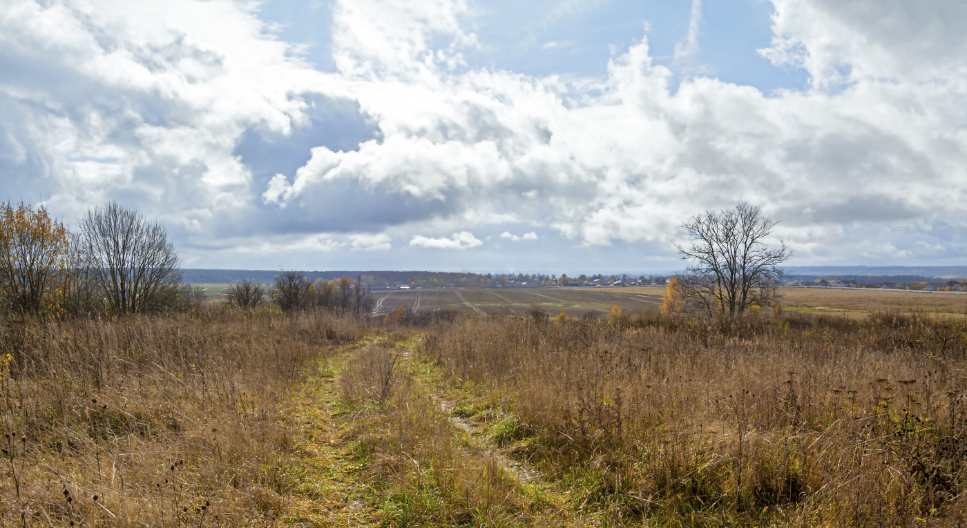 осенние зарисовки