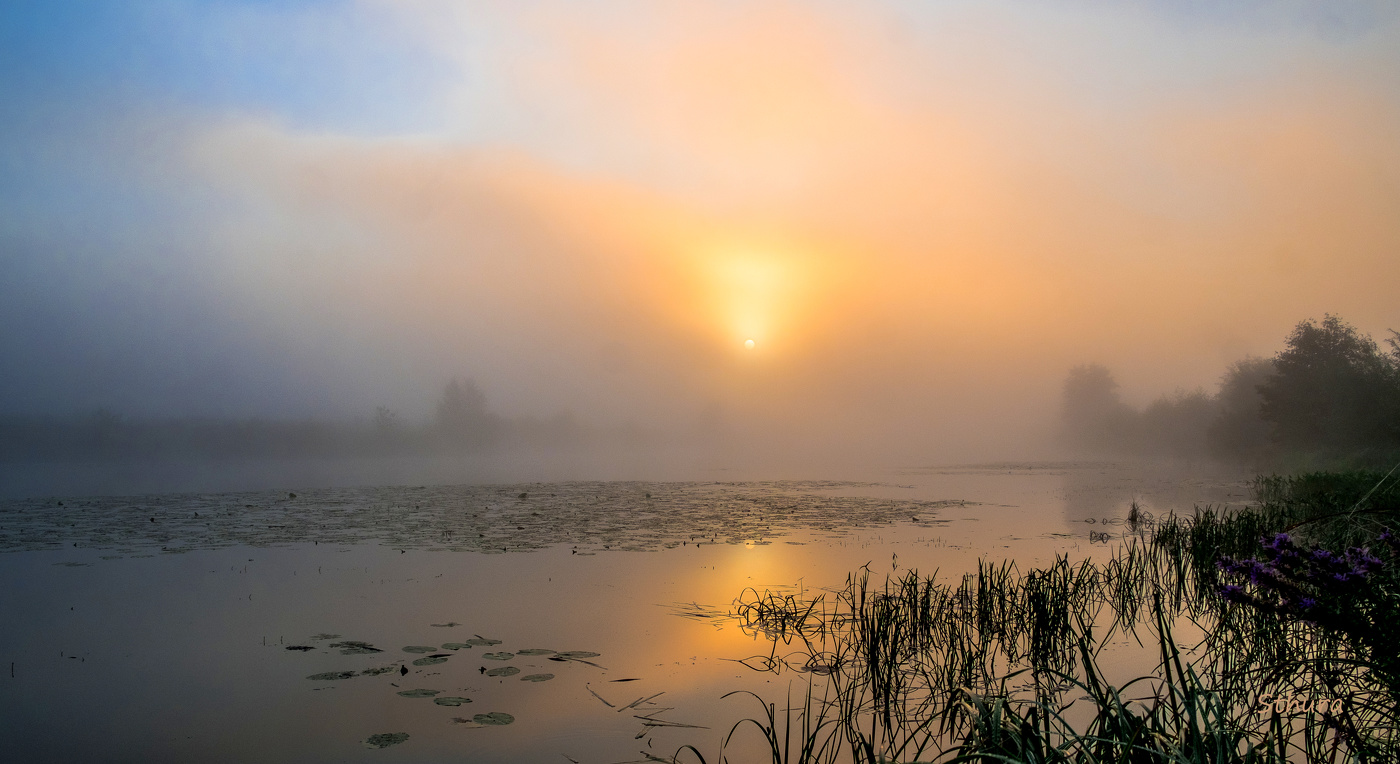 Летний рассвет.