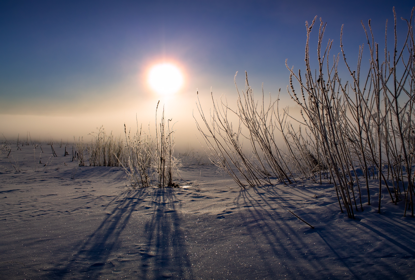 Иней на траве