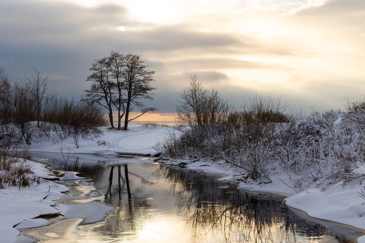 Прелюдия весны