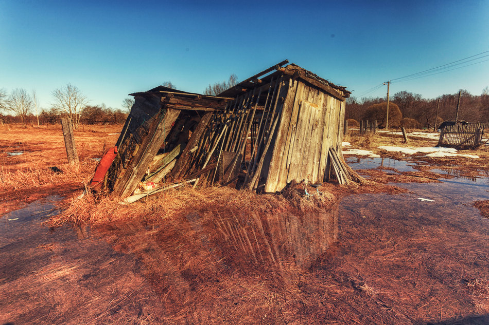 Жизнь вокруг