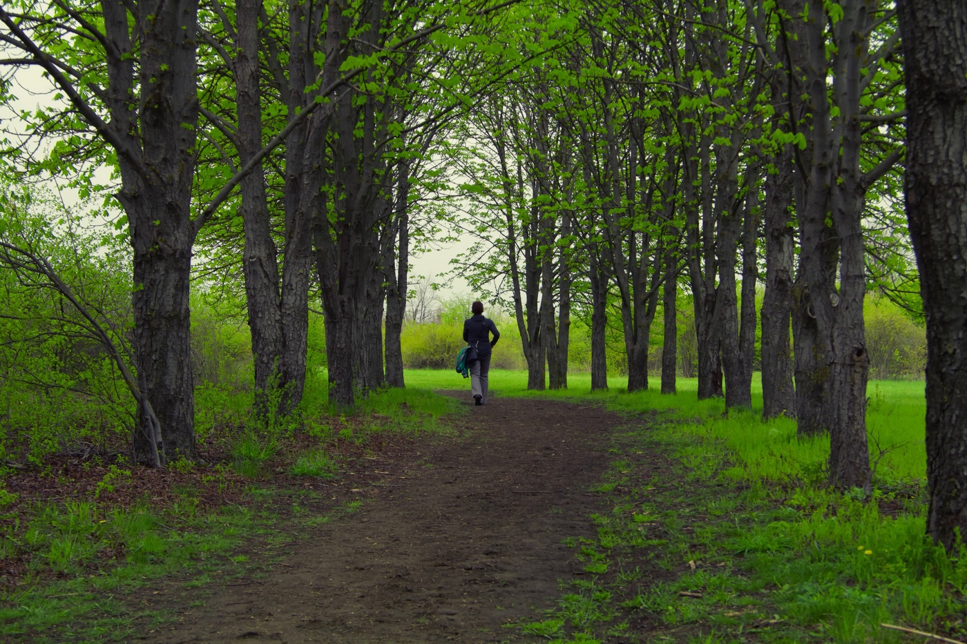 Весне навстречу