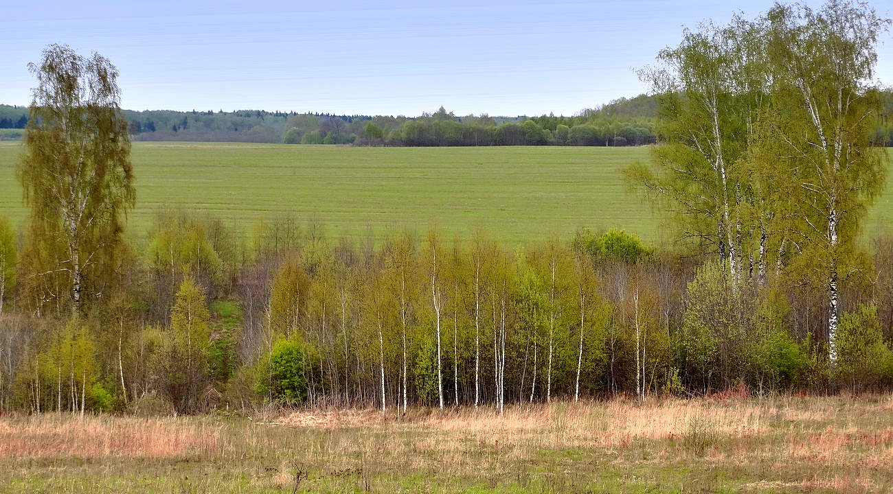 Молодо-зелено