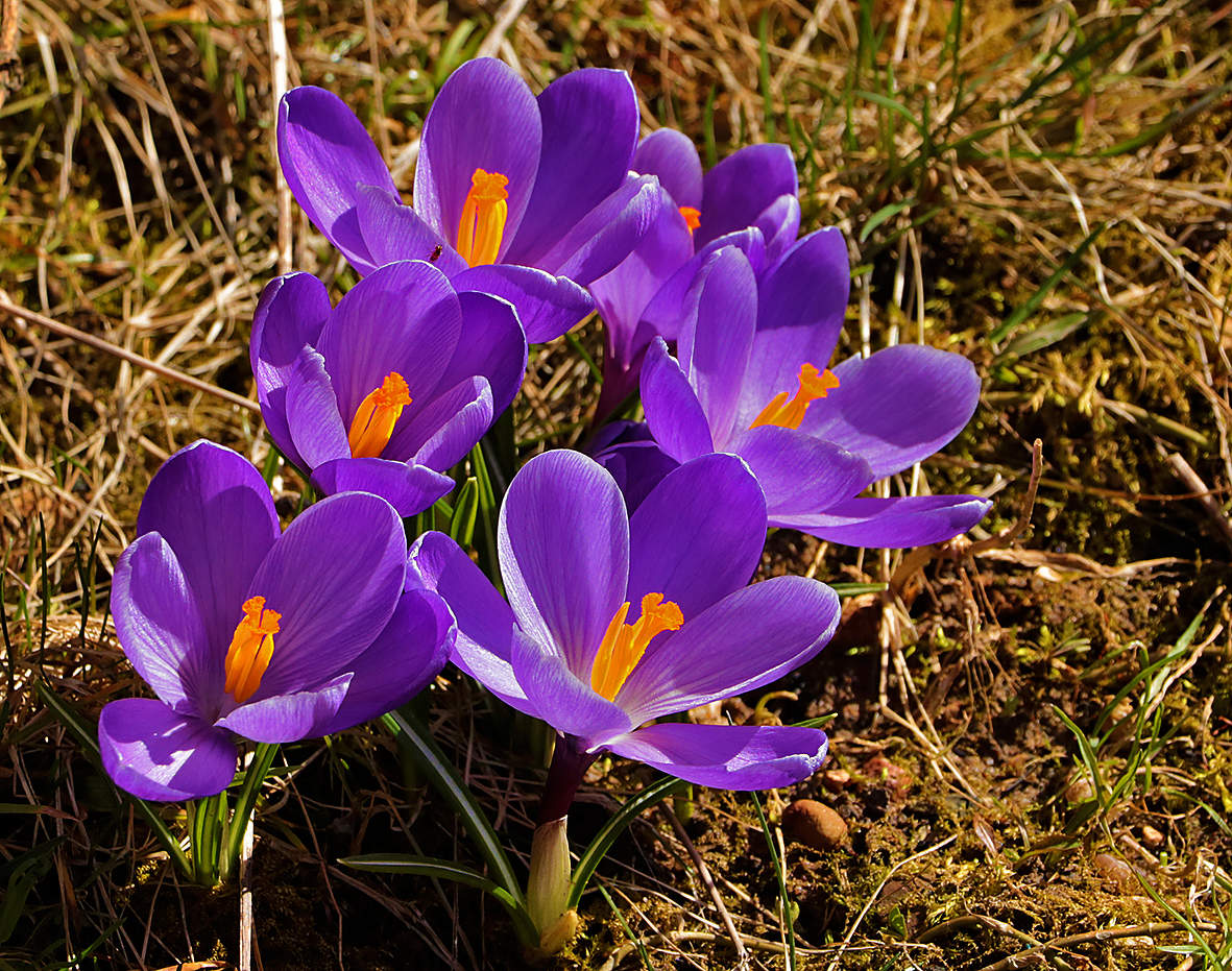 Весна однако...