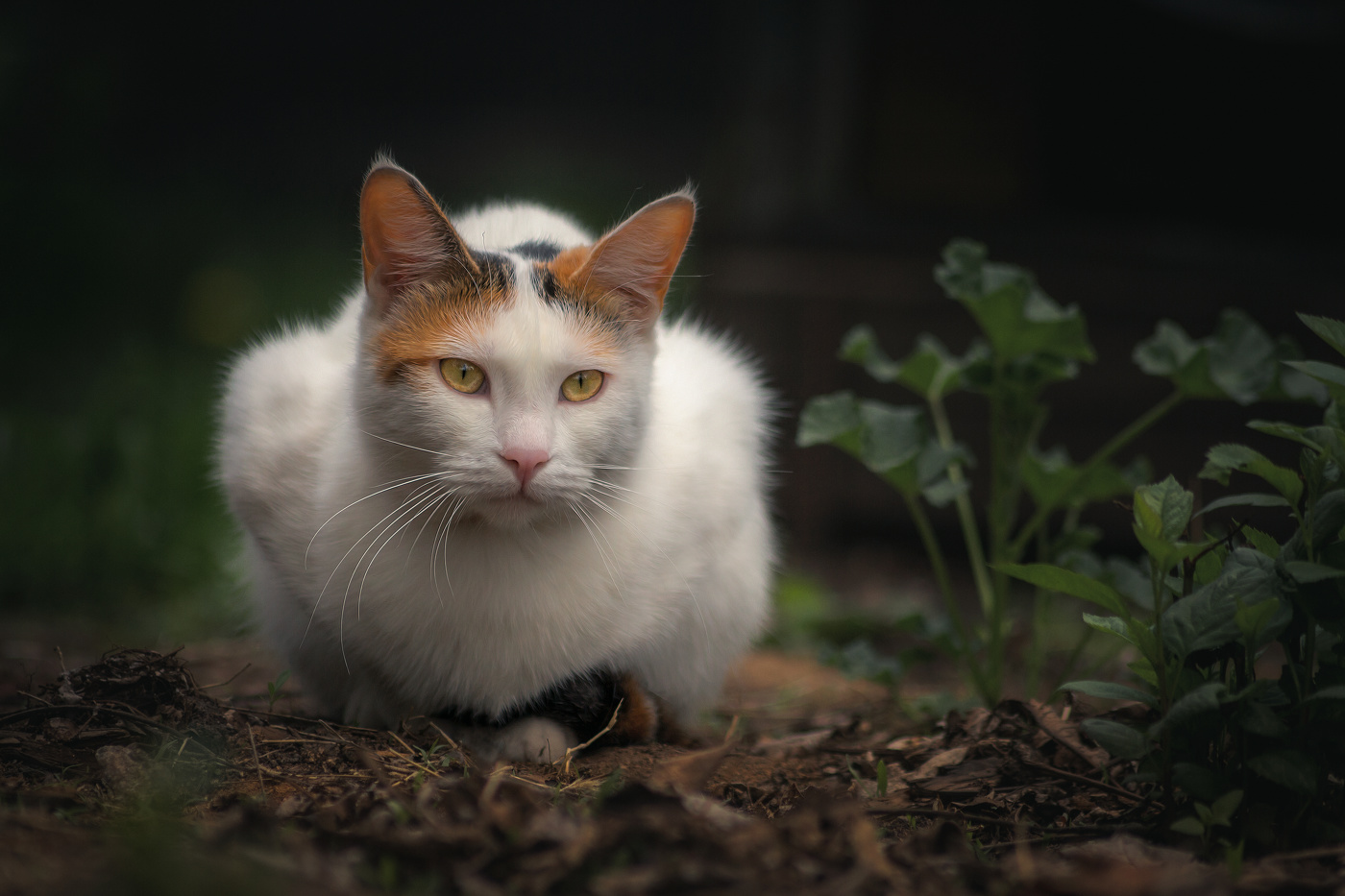 Из серии апрельские посиделки.