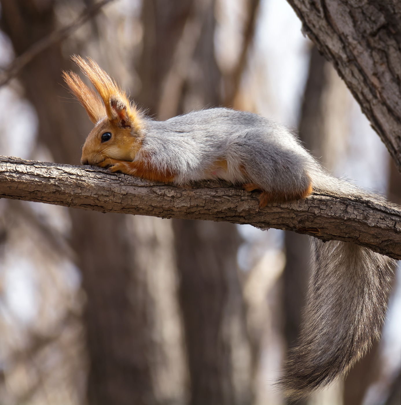 весна, тепло..