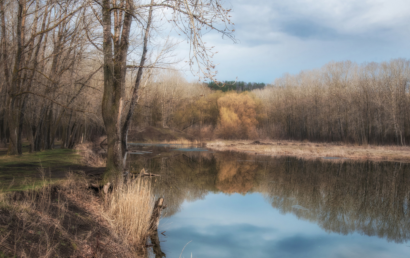 После дождя