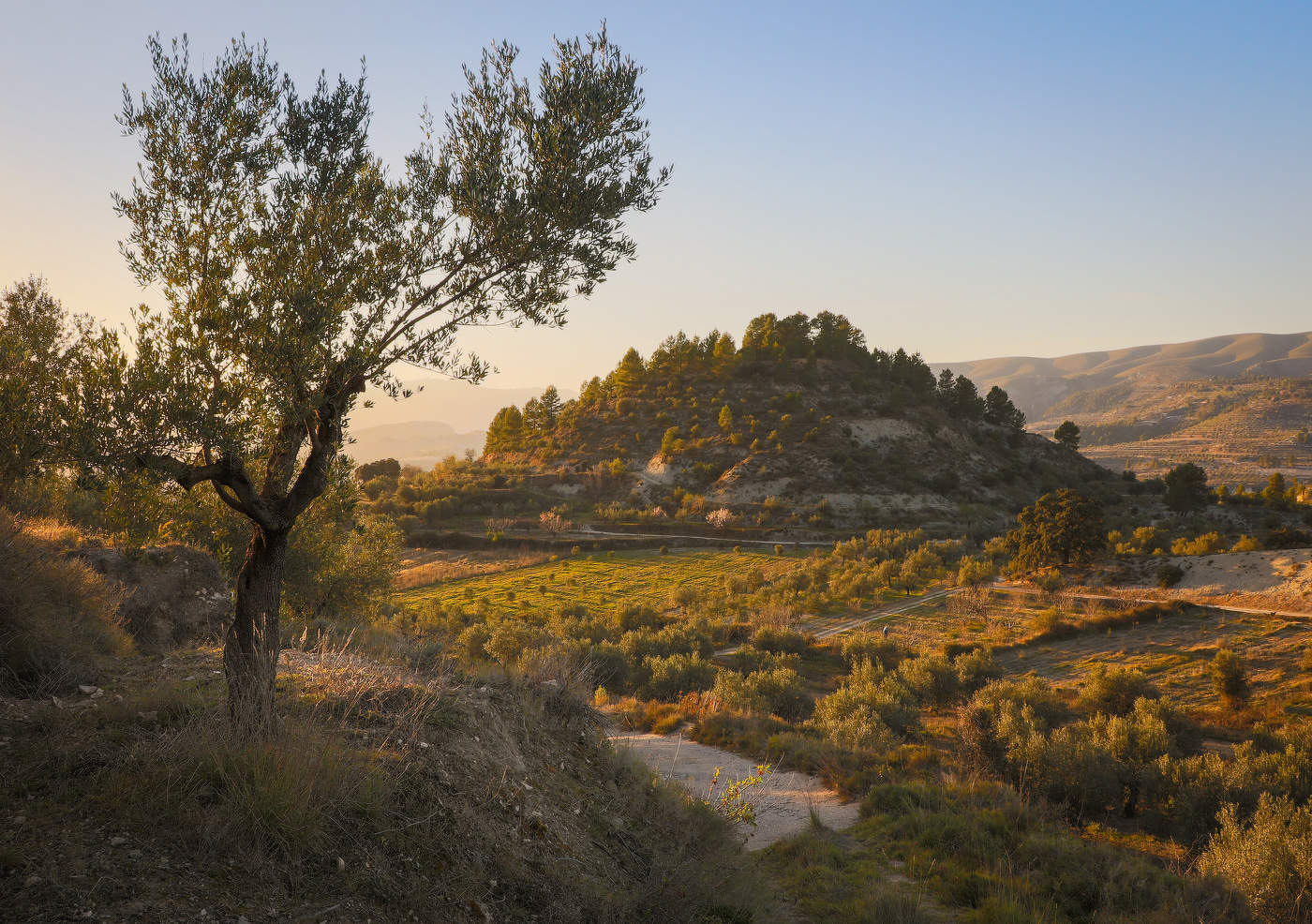 Вечерний этюд