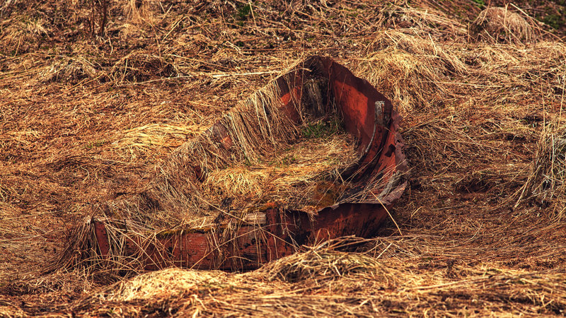 Жизнь вокруг