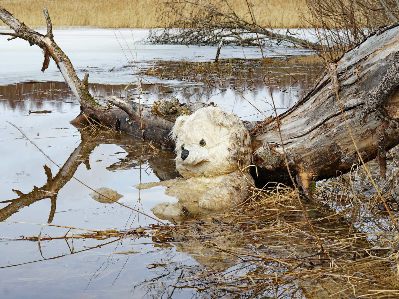 Утопленник