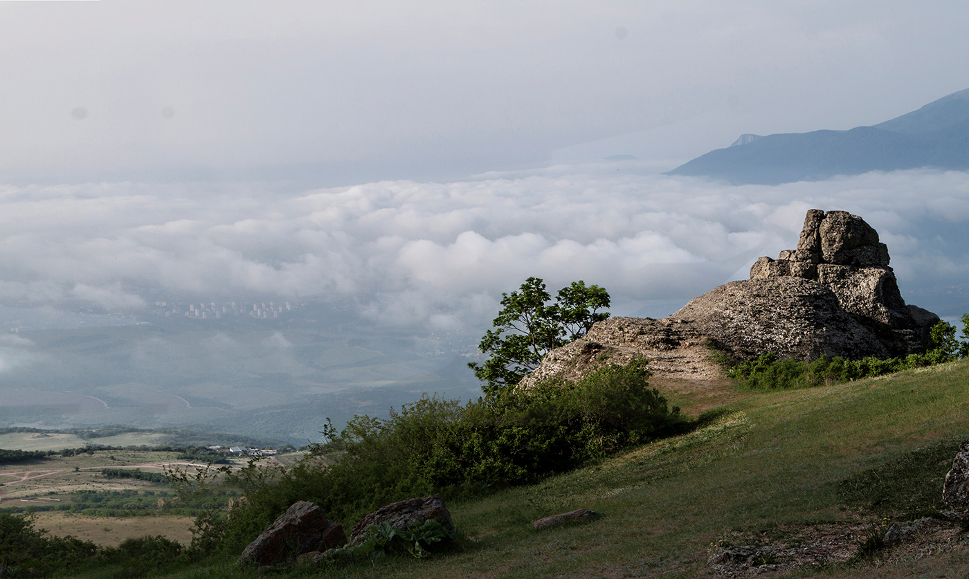 Утренний туман