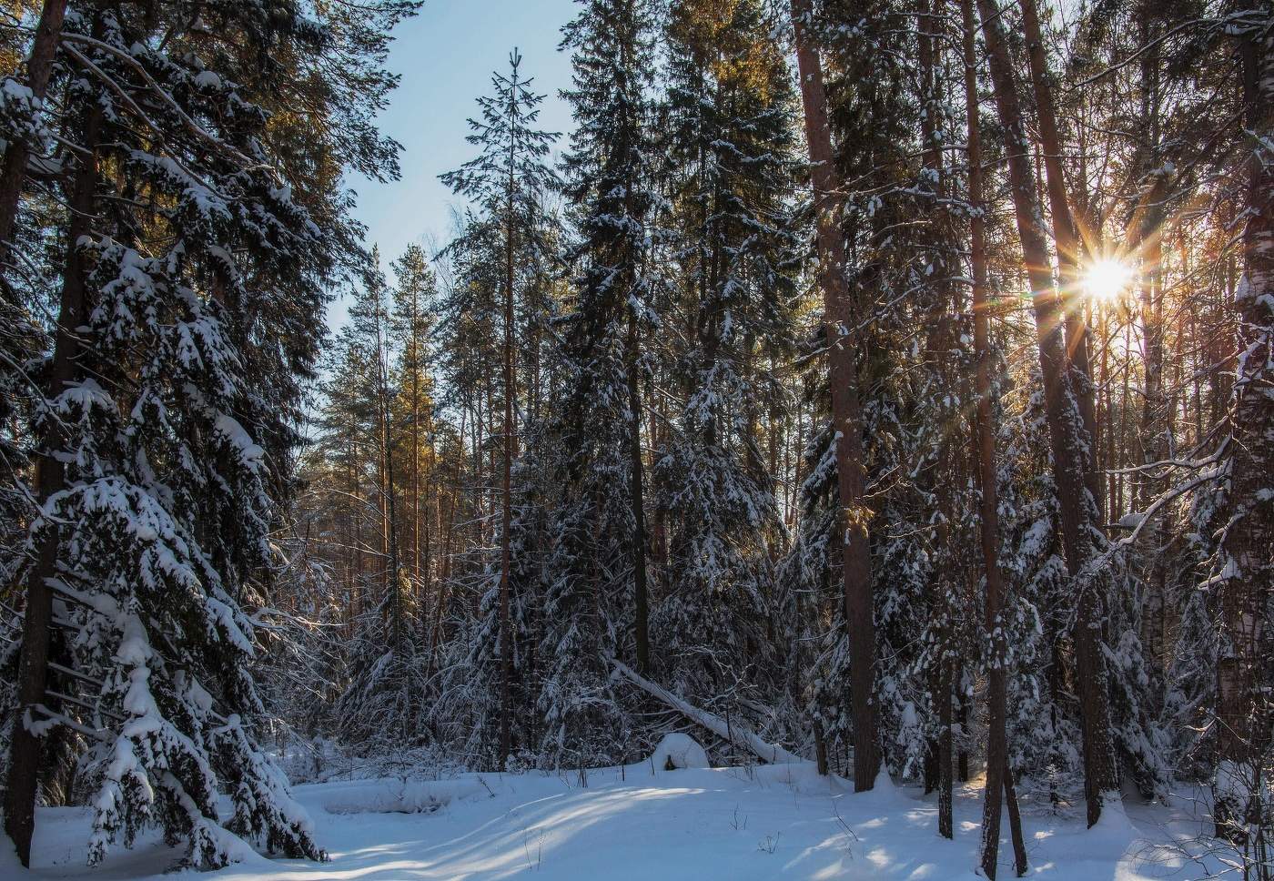 Раифский заповедник