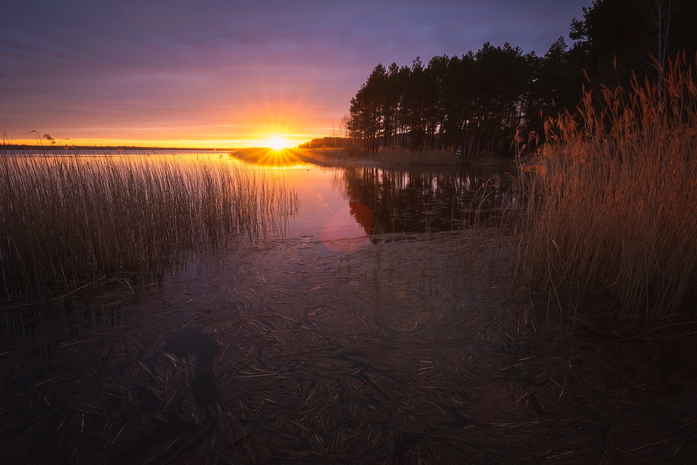Тихий вечер у озера