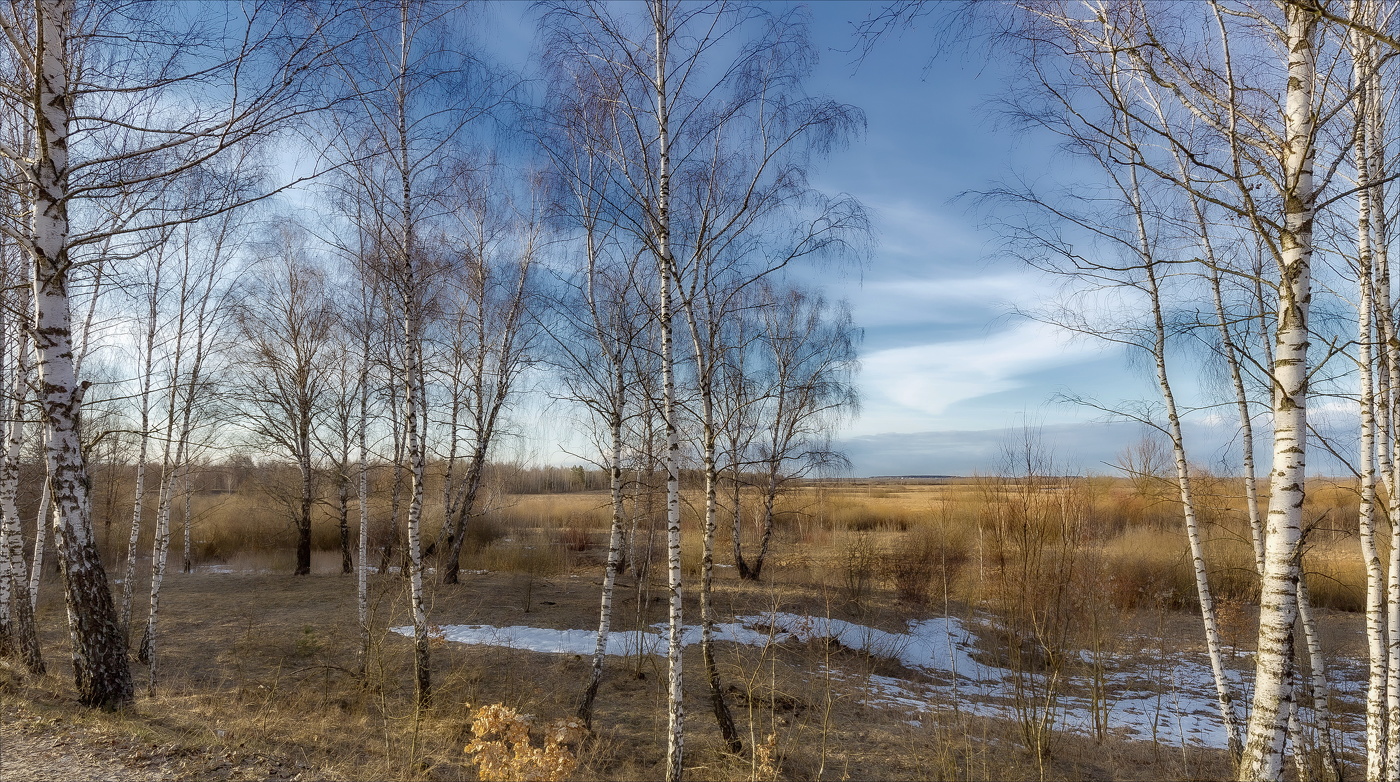 Следы зимы хранят поляны...