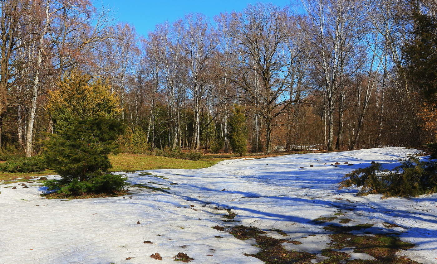 Апрельский пейзаж !!!