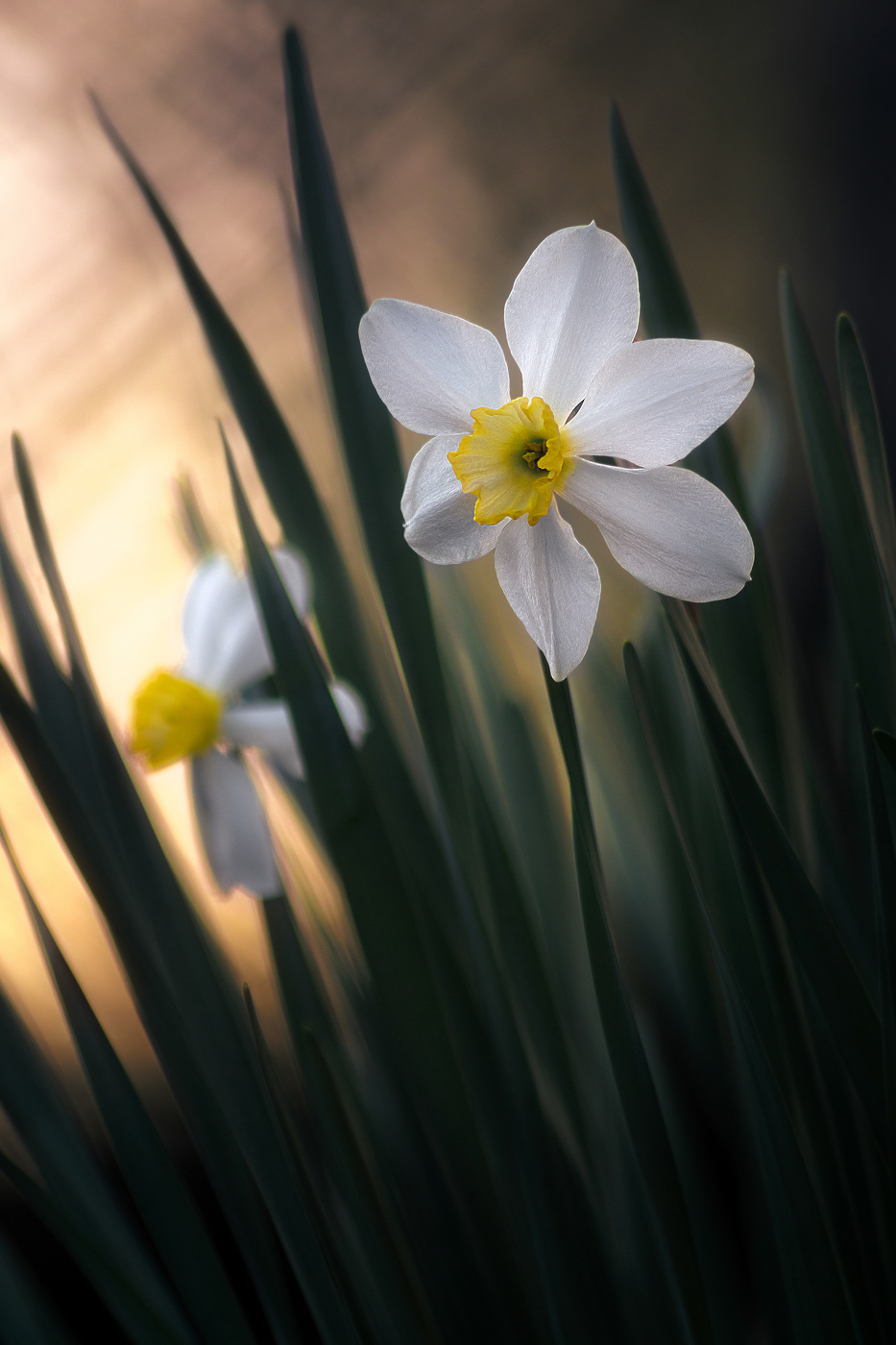 Апрельские зарисовки.
