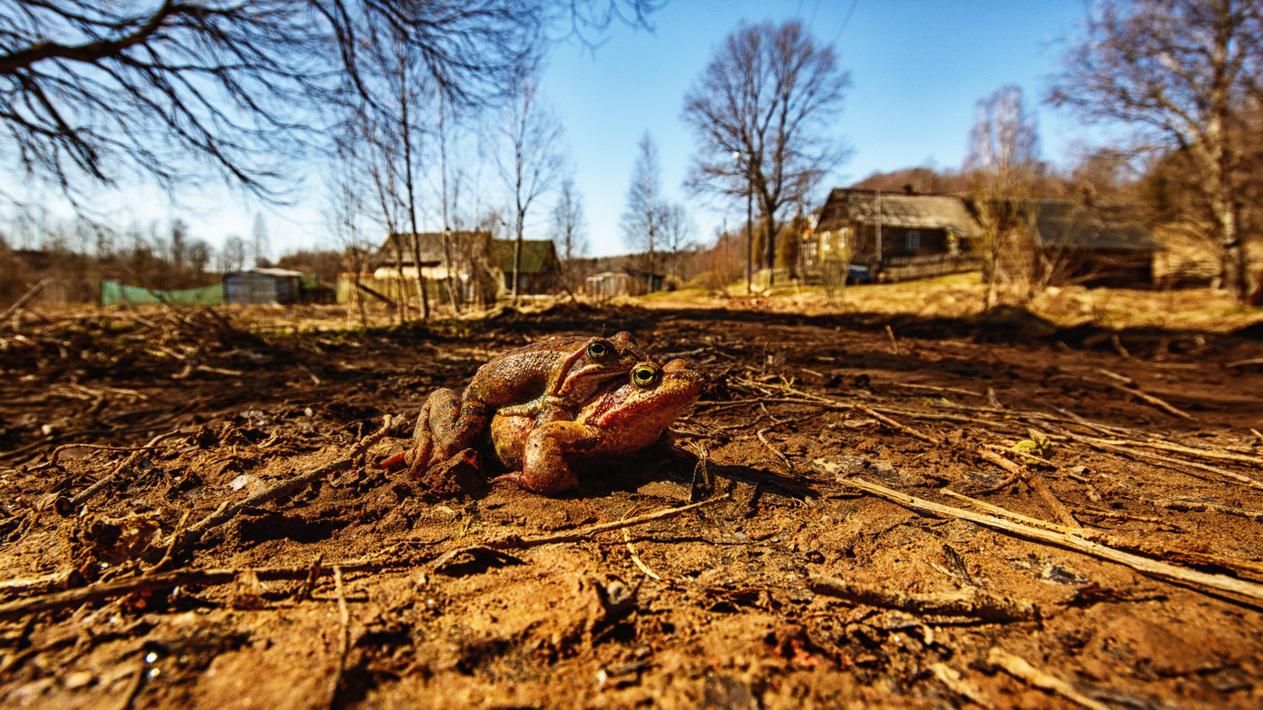 Жизнь вокруг