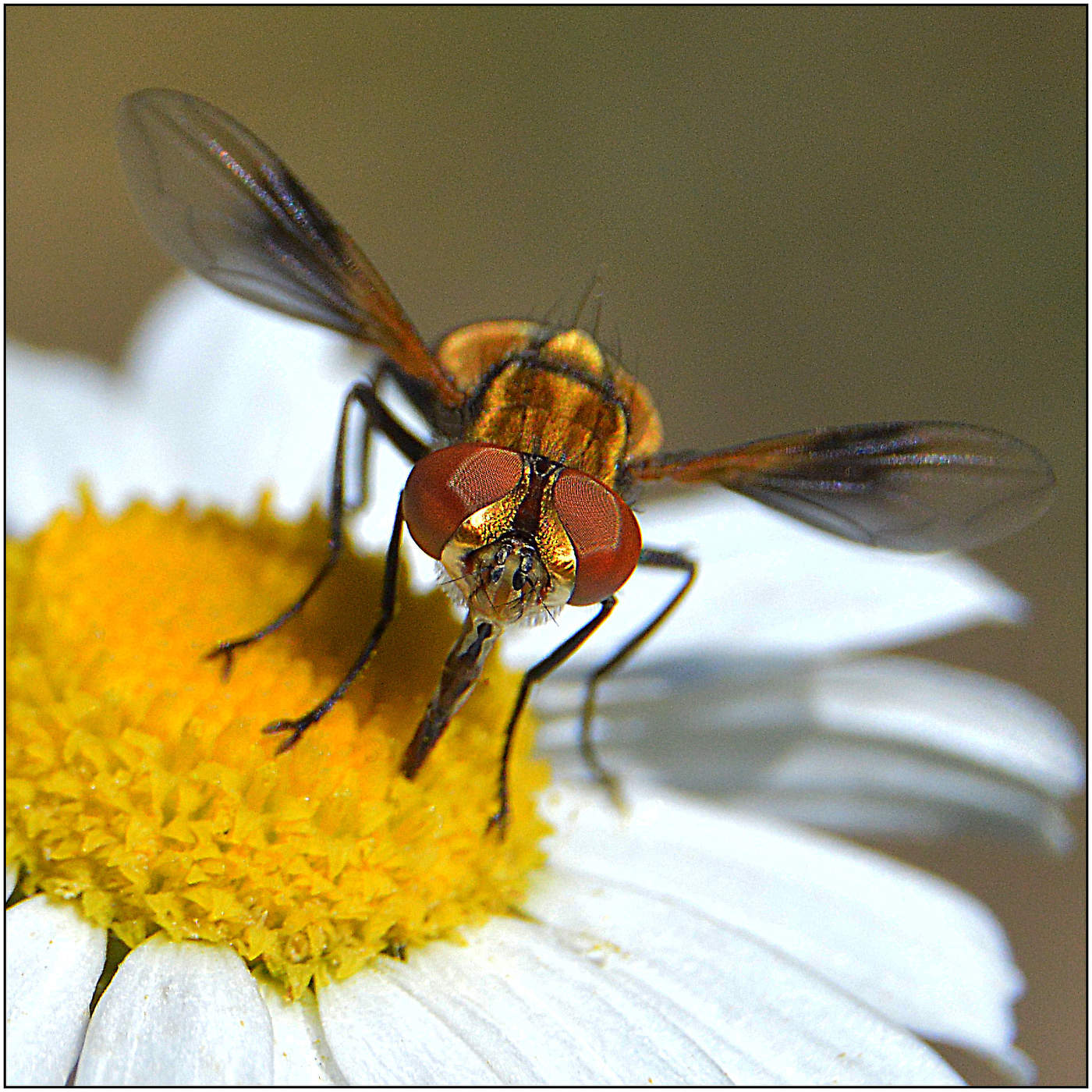 Солнечное утро.