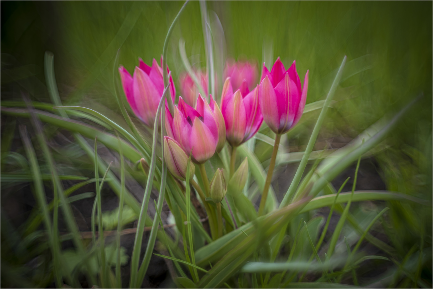 Весенняя семейка