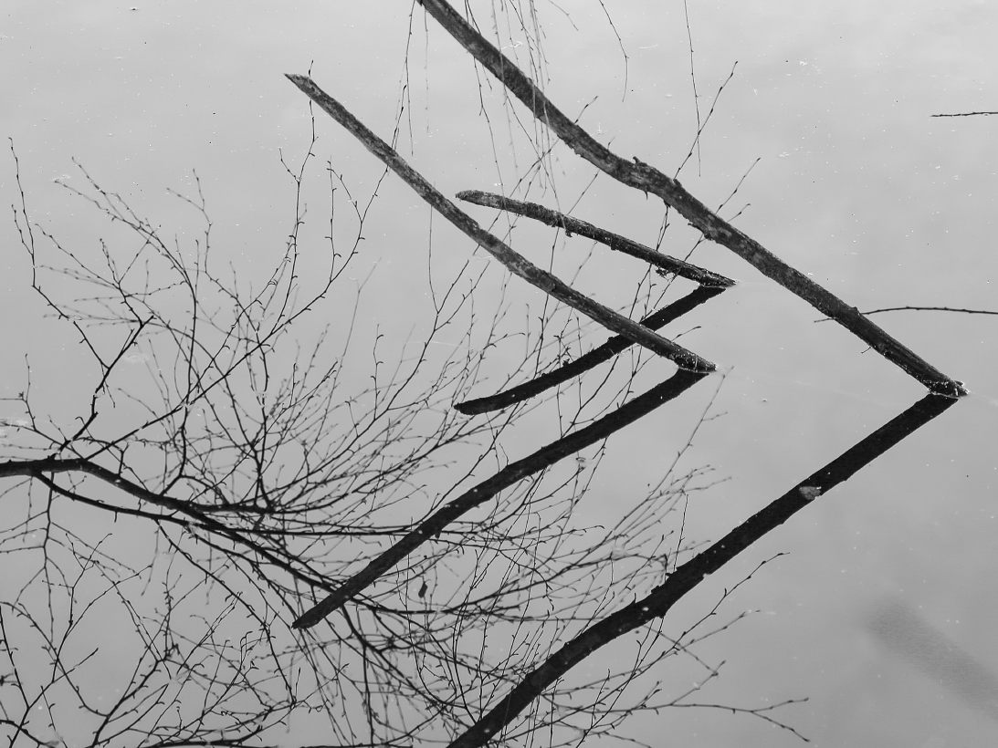 Несимметрия