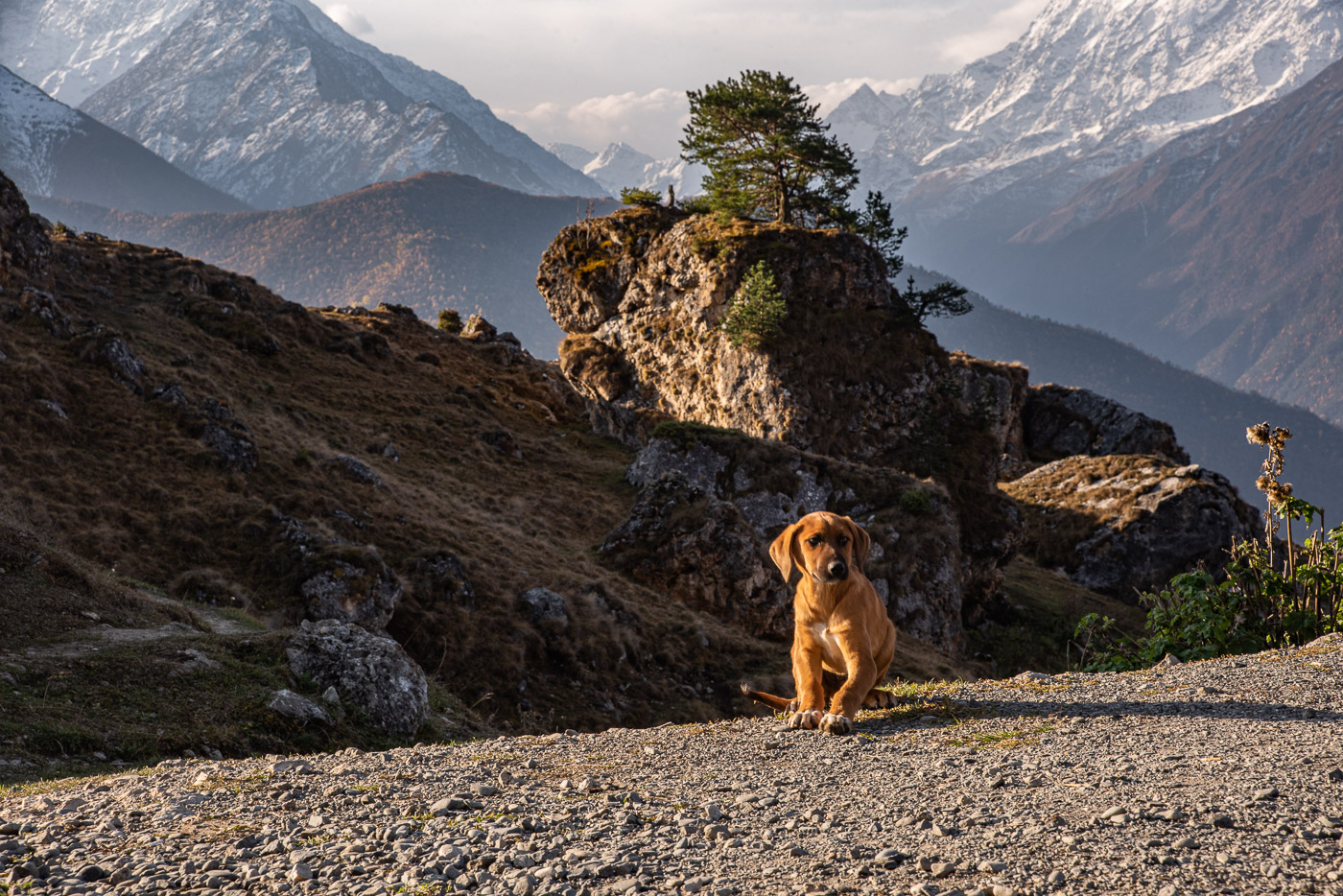 Встреча на перевале