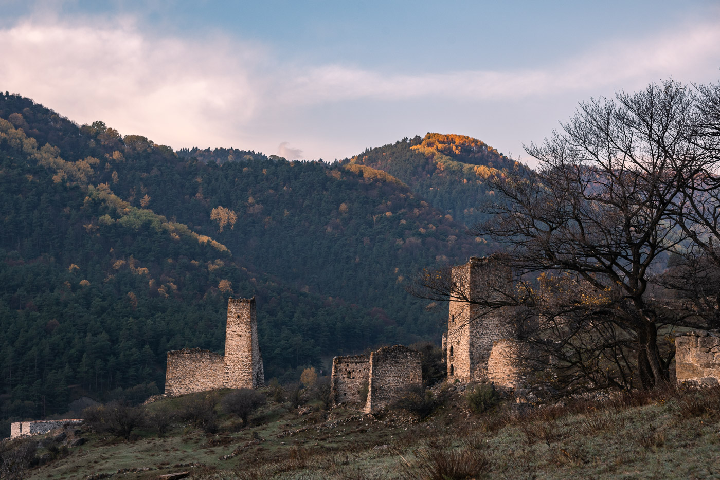 Старые стены