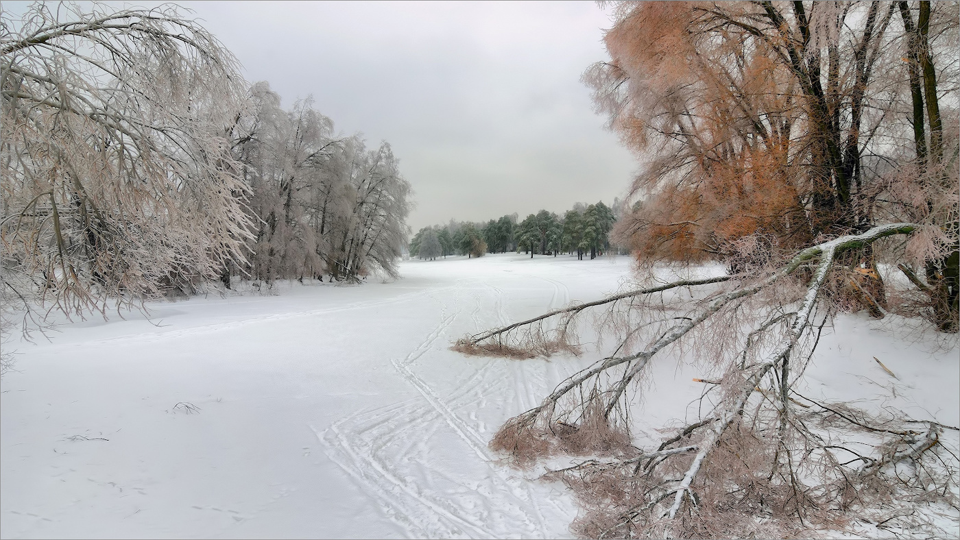Ледяной дождь в Кузьминках.