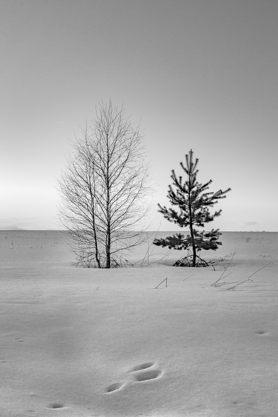 Мы такие разные...