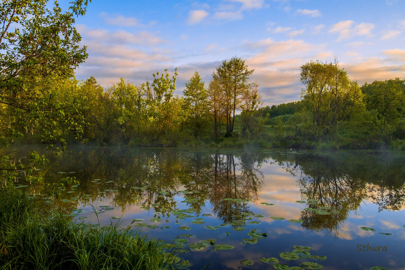 Утренний пейзаж.