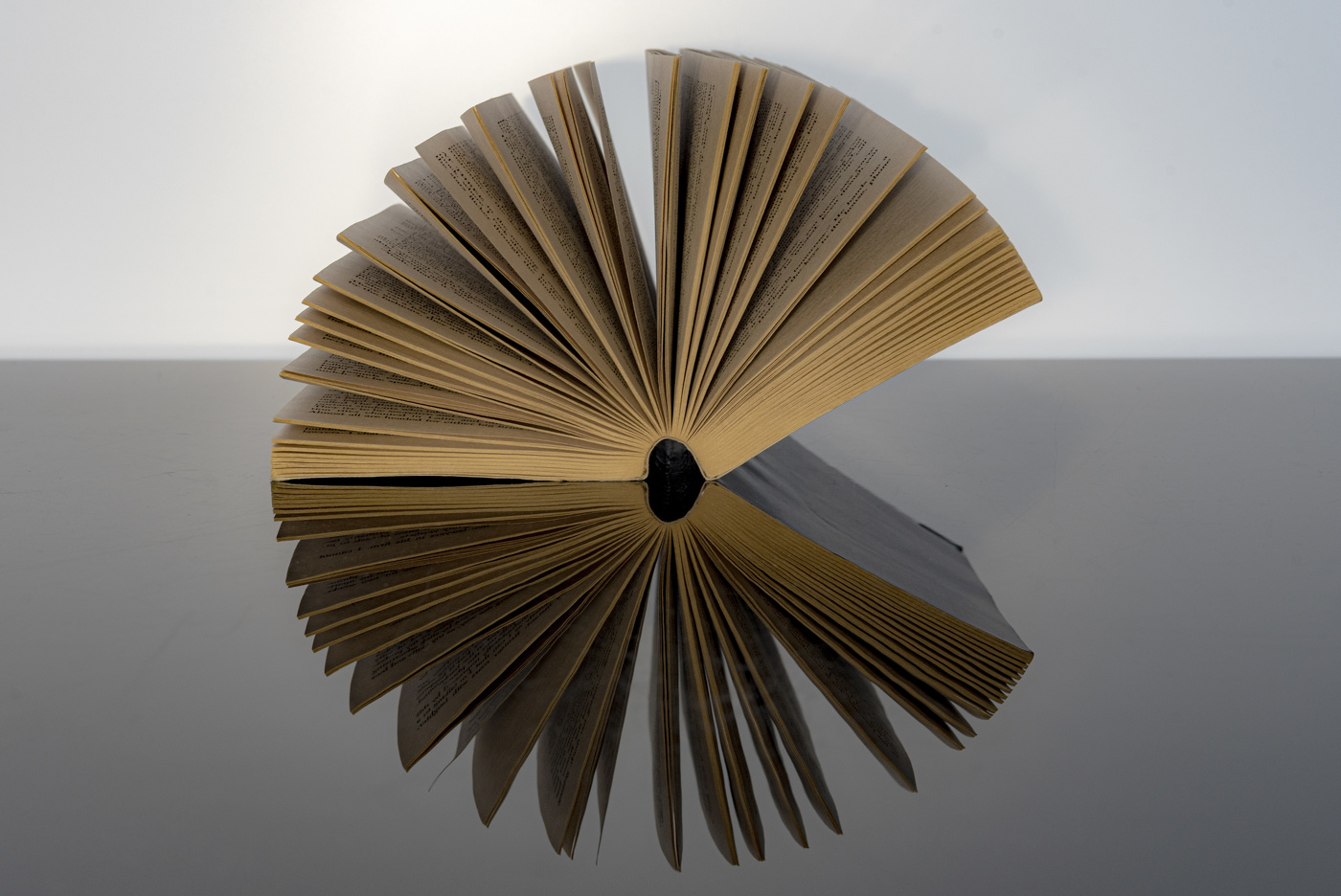 Раскрытая книга