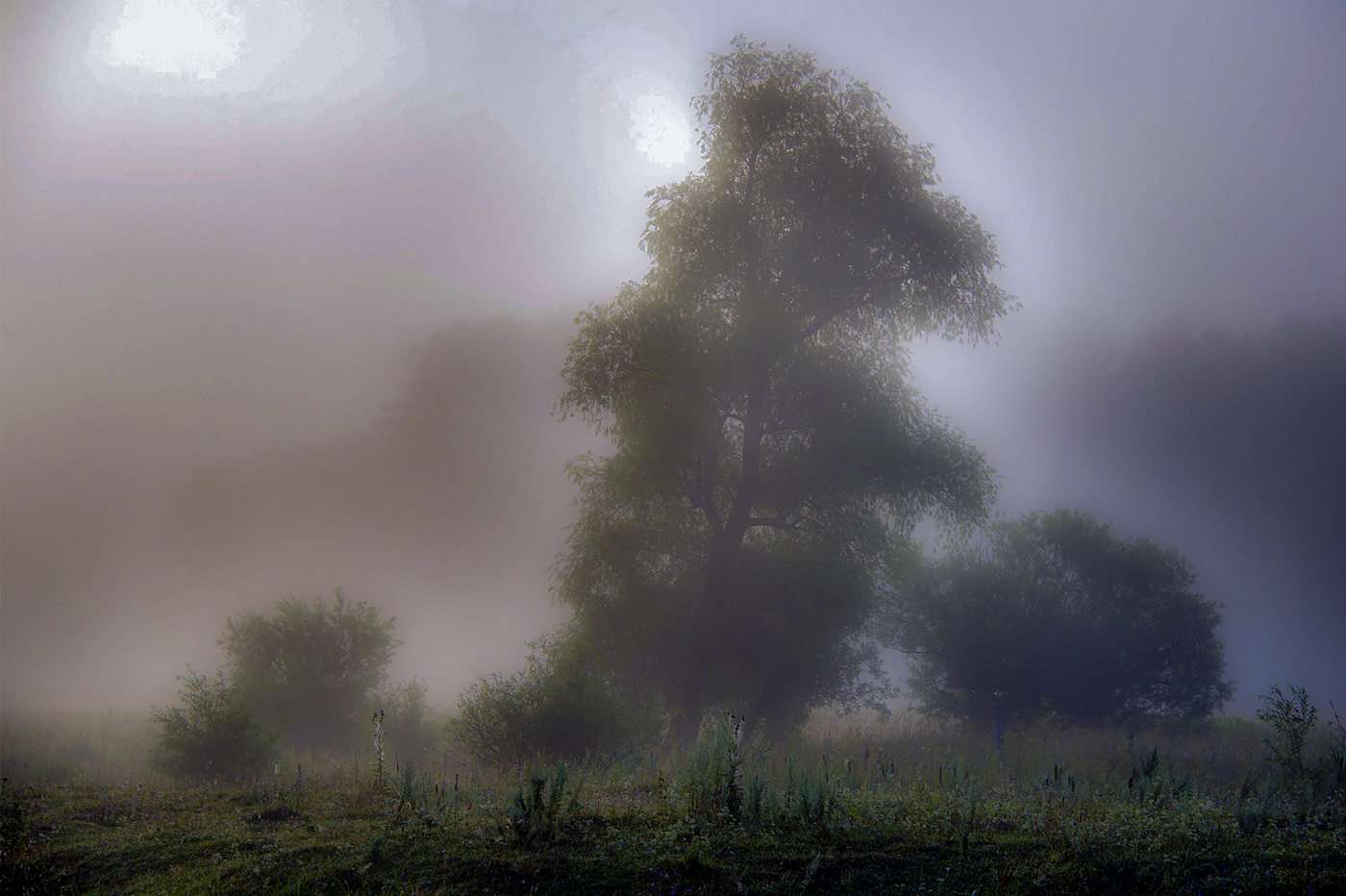 Хмурое утро