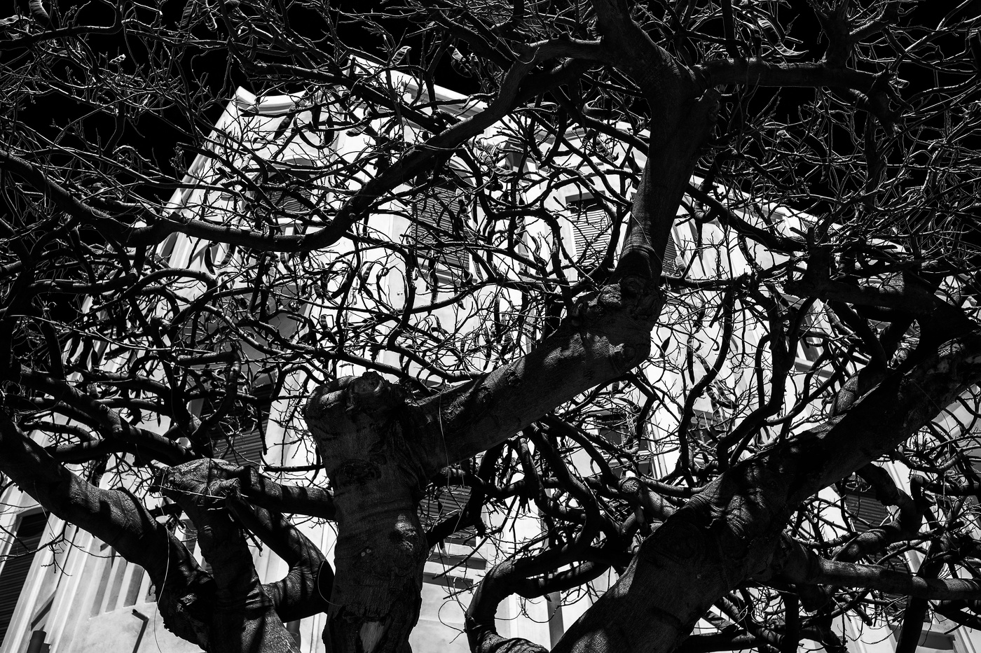 Весна в городе