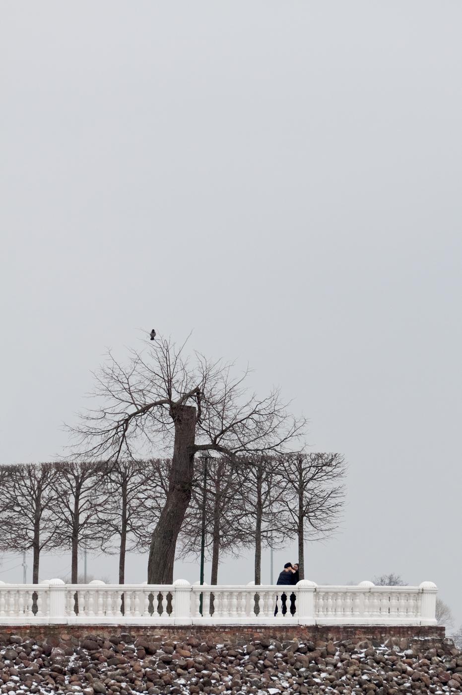 Нестандартный Петергоф - 28