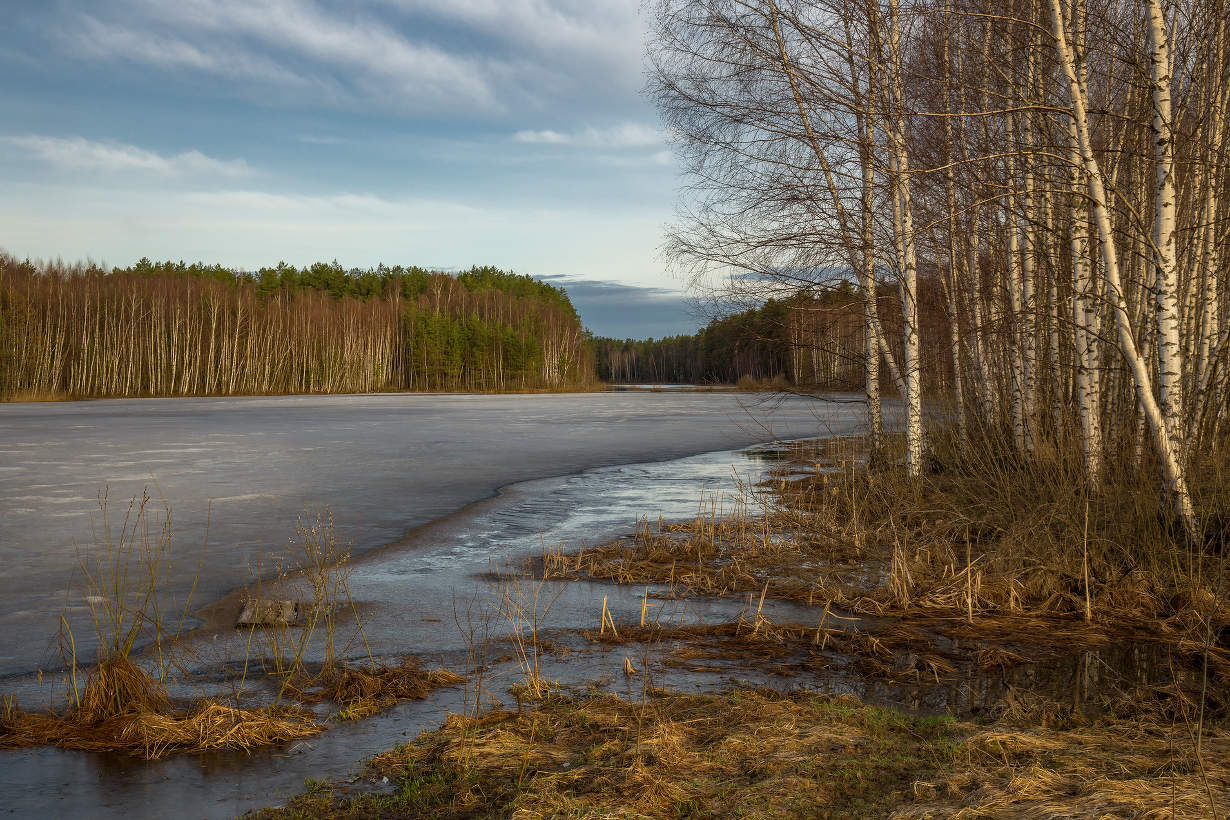 Ленивое утро