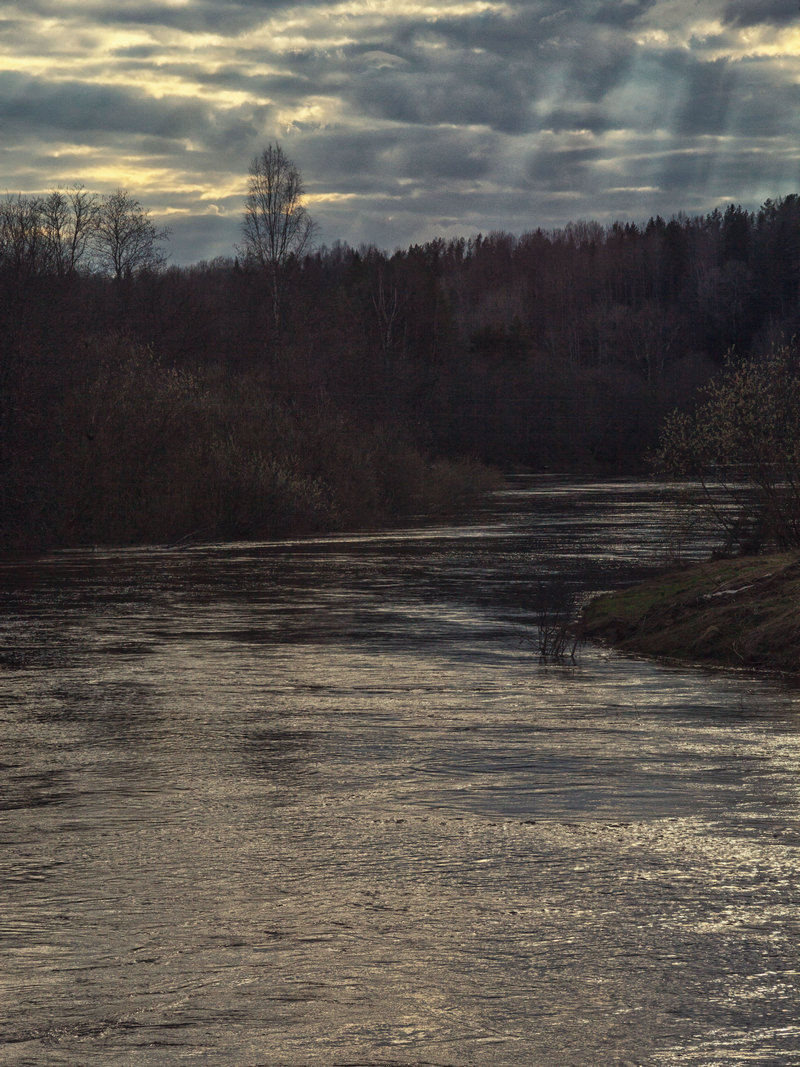 Жизнь вокруг