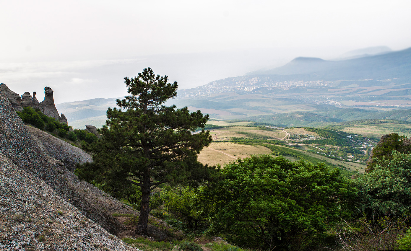 Стражи долины