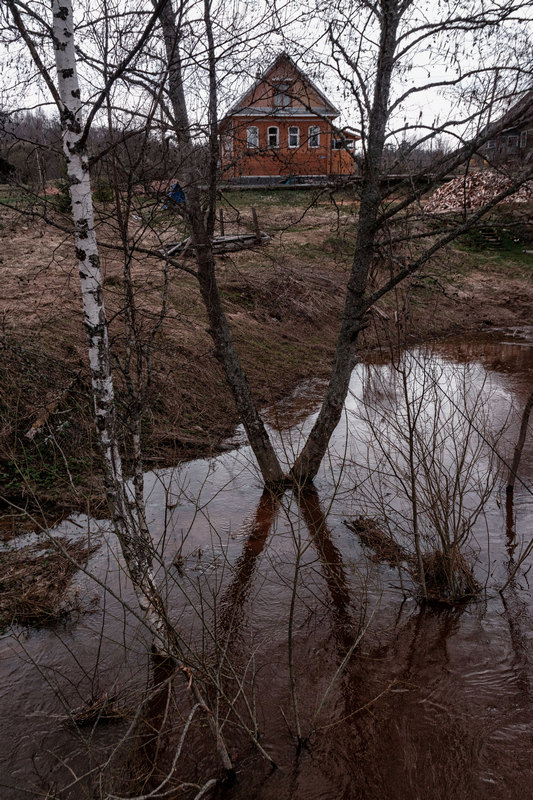 Жизнь вокруг