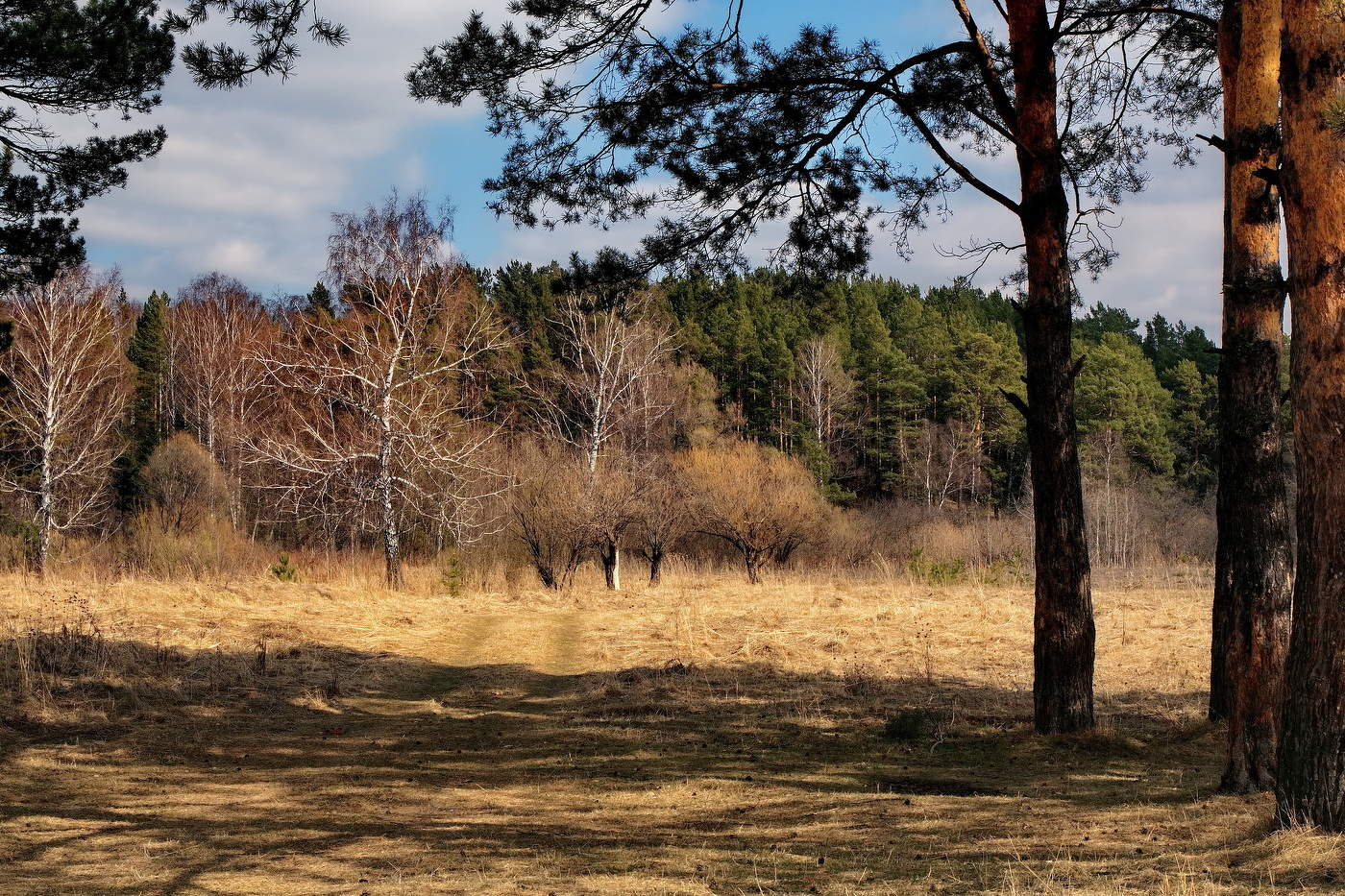 *Весенним днём.**