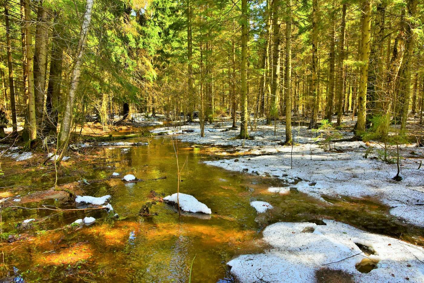 "Уж тает снег, бегут ручьи, в окно повеяло весною..."