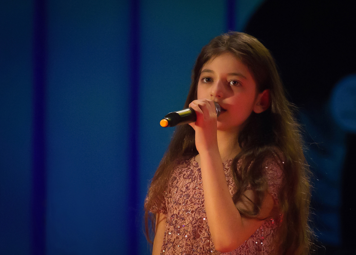 На концерте