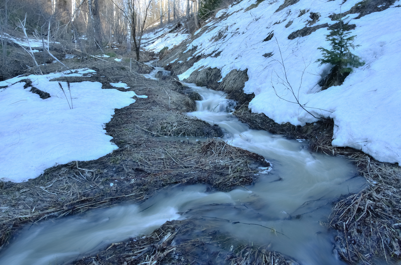 Весной бегут ручьи